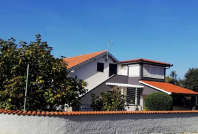 Apartments with a parking space Pavicini, Marcana - 21315